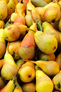 松梨植物饮食画幅杂货店蔬菜收成树木生长烹饪水果图片