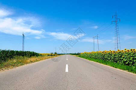 国家公路运动运输太阳农村交通自由蓝色晴天草地路线图片