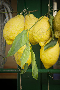 柠檬水果叶子营养果汁树叶植物食物黄色绿色图片