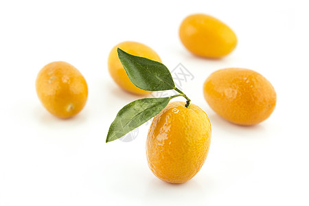 甜甜小橙橙子食物圆圈叶子工作室果汁饮食热带团体宏观图片