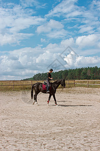 女孩学习骑马女性树木灰尘运动员戒指骑术训练头盔女骑士青年图片