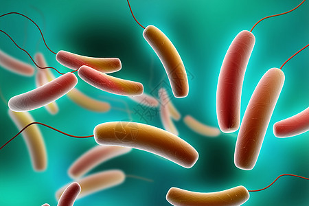 科性细菌电子大肠杆菌科学微生物显微镜身体寄生虫疾病生物医疗图片