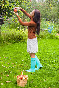 年轻女子从花园的树上采集一个舒适的新苹果图片