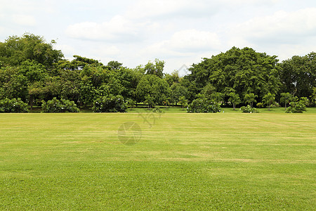 绿绿草地天空季节风景小路城市木头花园叶子园艺土地图片