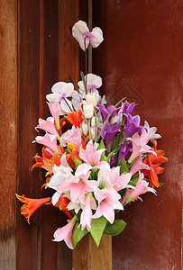 美丽的花花装饰风格礼物花盆花园艺术花瓣植物群叶子生活植物学图片