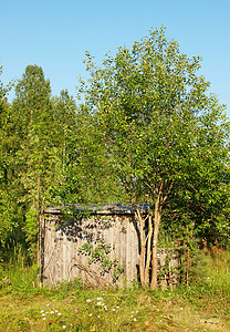 旧被扔的老房子小屋木塌绿色天空日志季节结构建筑学木板窗户图片