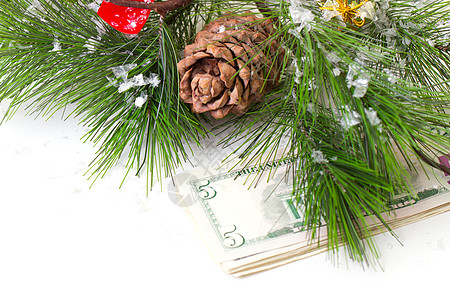 与世隔绝的圣诞树和金钱假期问候语松树季节传统锥体装饰品浆果开支礼物图片