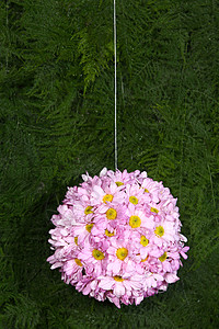 鲜花球花瓣婚礼植物群紫色花园装饰美丽礼物玫瑰宏观图片