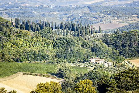 意大利风景植物植被场景旅行农场爬坡全景葡萄园国家地平线图片