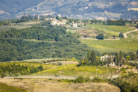 意大利风景场地农场农业地平线别墅场景全景国家植物草地图片