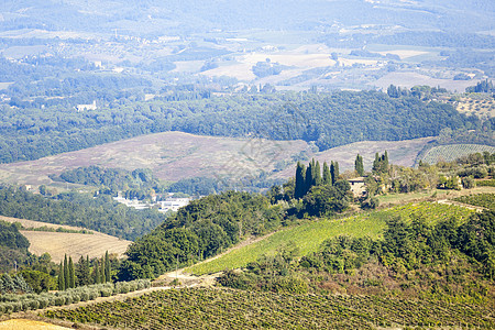 意大利风景爬坡农村场景酒厂别墅国家葡萄园农田旅行地平线图片