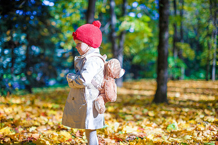 小女孩带着一个背着熊的小姑娘 在美丽的阳光明媚的白天在秋天森林散步图片