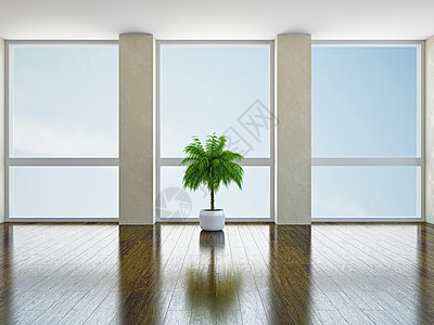 有窗口的空房间柱子公寓大厅水泥财产天花板艺术木板植物木地板图片