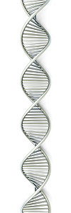 DNA链克隆化学药品科学插图考试微生物学基因组技术细胞图片