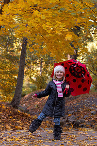 带雨伞的小女孩童年假期公园乐趣孩子幸福黄色叶子树木红色图片