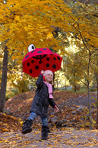 带雨伞的小女孩叶子乐趣喜悦季节假期婴儿健康黄色树木红色图片