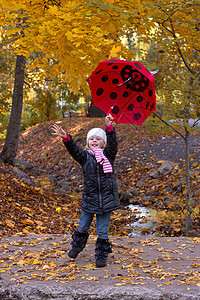 带雨伞的小女孩健康幸福黄色森林季节假期乐趣红色孩子小路图片