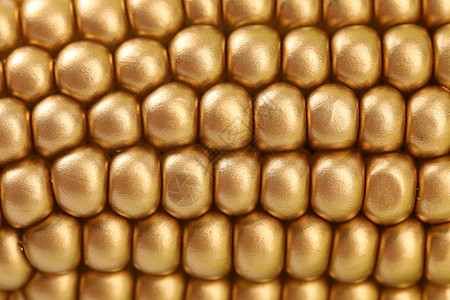 金印地安玉米的背景 缝合图片