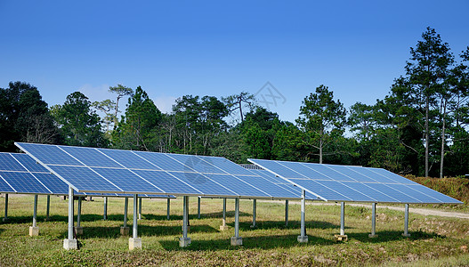 森林中的太阳能电池 可持续概念;图片