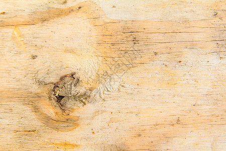 木制的材料橡木地面框架镶板正方形木工自然木头团体图片