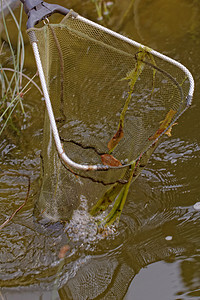 湖中鱼上岸网假期池塘收获动物群渔业动物学反射钓鱼绳索图片