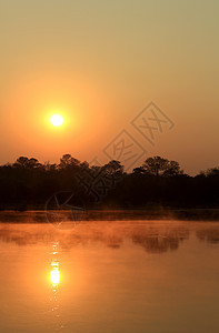 在卡万戈河日出时 在水面上喷雾薄雾墙纸太阳橙子公园森林反射天空湿地荒野图片