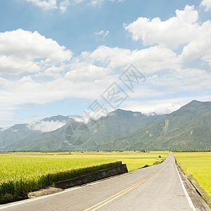 农村道路稻田旅行小路收成乡村交通环境运输农场生长图片