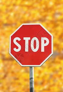 停止交通信号牌金属运输公园街道场景森林国家警告安全交通图片
