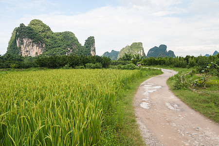 扬水景观图片