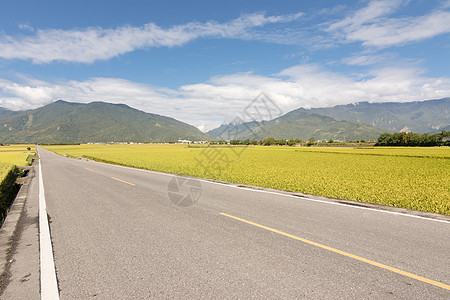 农村道路谷物稻田农场运输自由场地牧歌收成风景交通图片