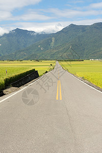 农村道路旅行收成谷物生长运输场景小路自由环境交通图片