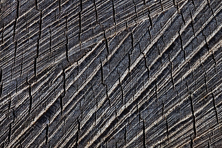 带细节的大型锯木和干木纹理森林树桩裂缝松树电锯木材橡木材料光束日志图片