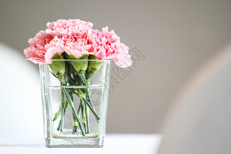 国香花绿色婚礼花束植物植物群花瓶粉色美丽花瓣白色图片