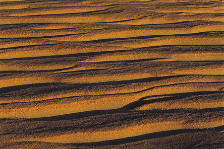 沙沙中的波纹质感侵蚀性中性色干旱涟漪沙漠研究效果气候质地图片