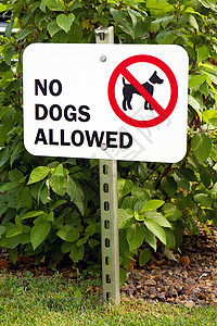 无允许的狗标志图片