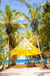 奇异度假胜地的完美热带海滩海景支撑悬崖日落椰子海浪海洋天空旅行蓝色图片