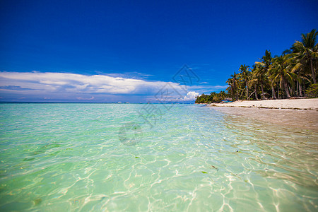 配有绿绿水和白沙滩的完美热带海滩海景海浪椰子支撑蓝色海洋悬崖假期日出天堂图片