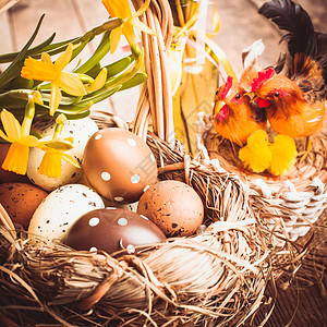 复活节鸡蛋篮圆点乡村假期庆典稻草宗教紫色水仙花投资传统图片