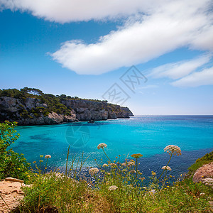 松绿的Balearic地中海海岸树木海洋假期蓝色旅行石头荒野岩石天空图片