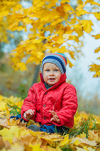 秋天公园的男孩宝宝橙子环境快乐叶子孩子们黄色青年树木童年孩子图片