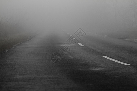 雾中的道路胡同沥青薄雾路线黑色阴影森林旅行街道场地图片