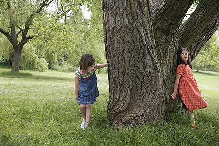 2名身长全身的女童玩捉藏和逐棵树找寻乐趣公园隐藏女孩树干游戏兄弟朋友们孩子闲暇图片