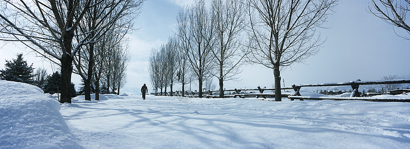 人们在树间下雪行走图片