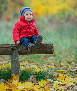 秋天公园的男孩宝宝橙子男生快乐树木孩子们长椅青年环境叶子季节图片