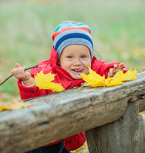 秋天公园的男孩宝宝孩子外套季节快乐乐趣青年树木孩子们橙子男性图片