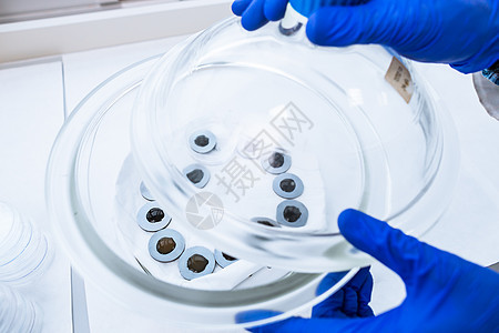 进行科学研究实验的研究员的手显微镜液体工人烧杯医生男性烧瓶实验室化学微笑图片