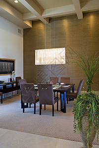 室内餐厅房间奢华天花板餐椅餐桌方形内饰桌子植物财富风格图片