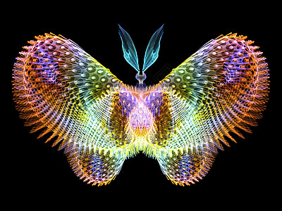 闪耀的蝴蝶昆虫生物学动物渲染创造力奉承插图宏观科学数学图片