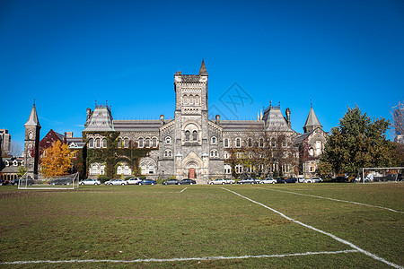 多伦多大学学院 在多伦多图片