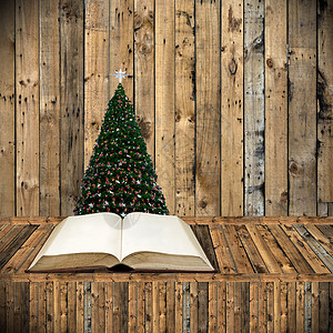 圣诞日读圣经 假日概念图片